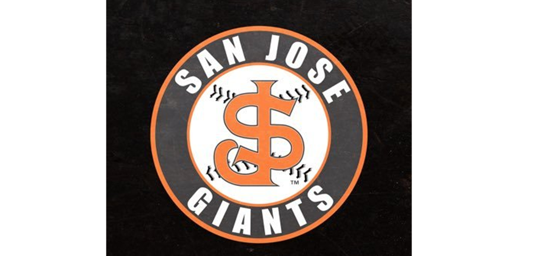 Thank you for joining us at SNLL San Jose Giants Night and helping us raise money for our league!